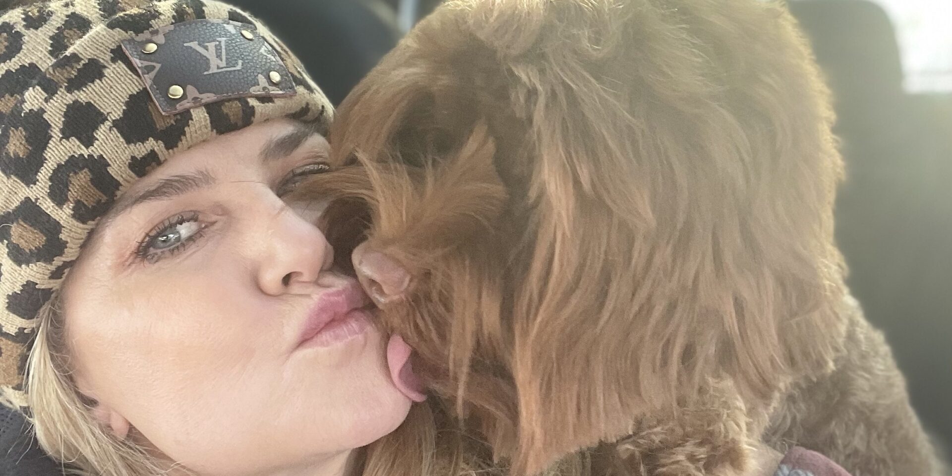 RT1 Medium Caramel Australian Labradoodle