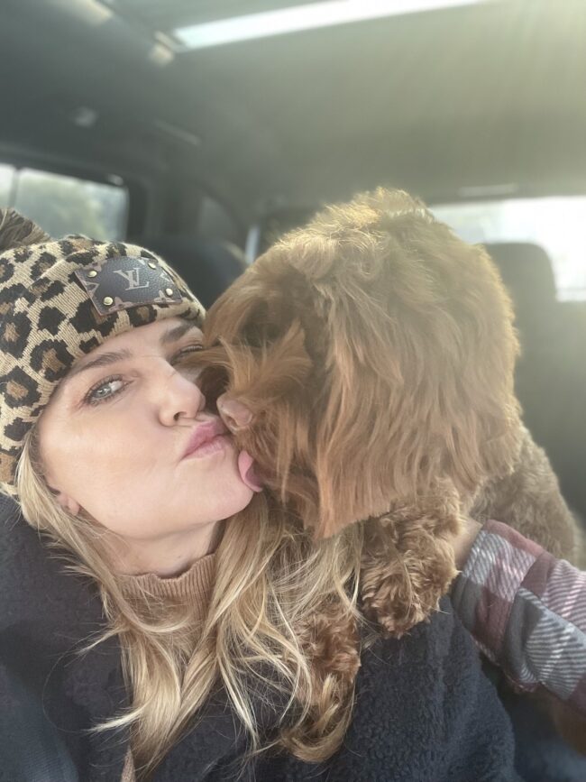RT1 Medium Caramel Australian Labradoodle