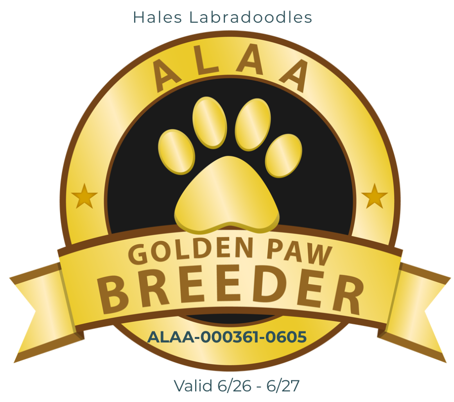ALAA Gold Paw Logo